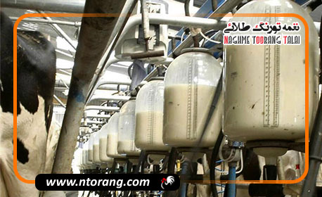 قیمت شیرخام به ۴۶ هزار و ۵۰۰ تومان رسیده است